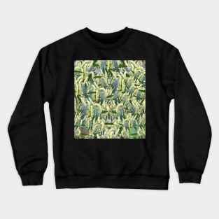 massed wattle blooms on textured background Crewneck Sweatshirt